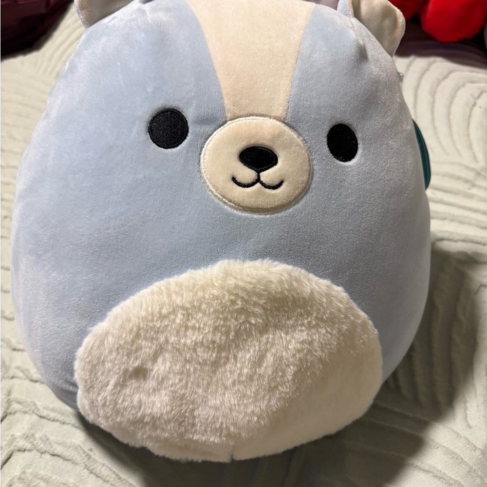 Squirrel Squishmallow. Brand new